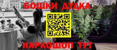 молекула духа Заводоуковск