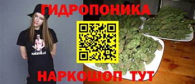 молекула духа Заводоуковск
