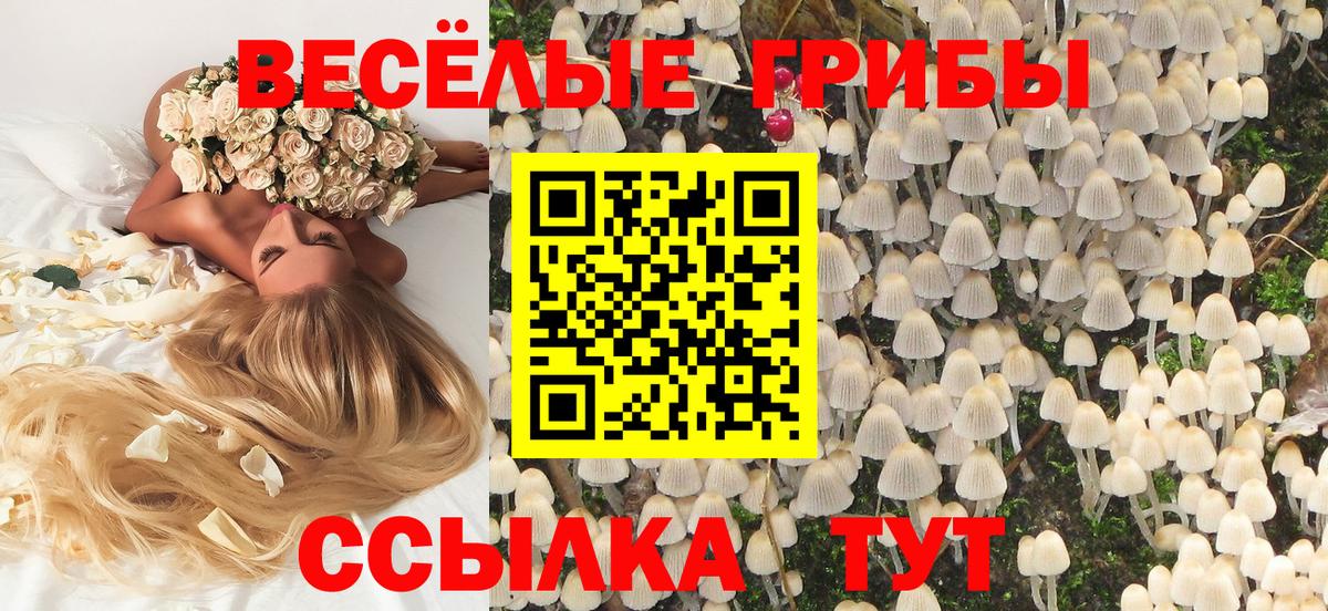 Галлюциногенные грибы MAGIC MUSHROOMS Магнитогорск